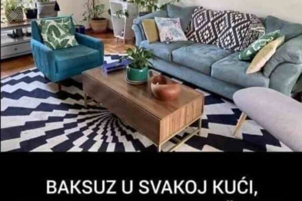 BAKSUZ U SVAKOJ KUĆI, DONOSE SVAĐU I NEMAŠTINU! Odmah bacite ovih 7 STVARI