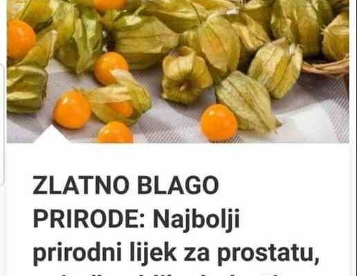 ZLATNO BLAGO PRIRODE: Najbolji Prirodni Lijek Za Prostatu, Najteže Oblike Bolesti Želuca I Debelog Crijeva