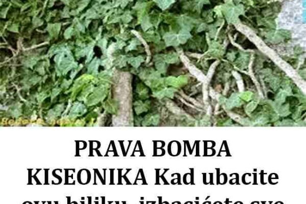 Kad ubacite ovu biljku, izbacićete sve otrove iz doma!