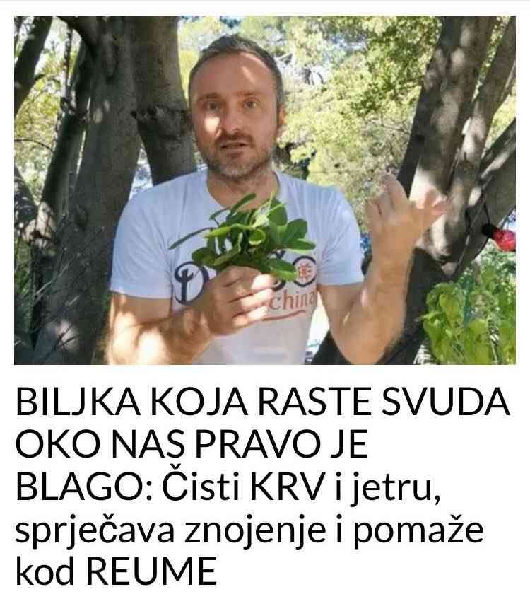 BILJKA KOJA RASTE SVUDA OKO NAS PRAVO JE BLAGO: Čisti KV i jetru, sprječava znojenje i pomaže kod REUME