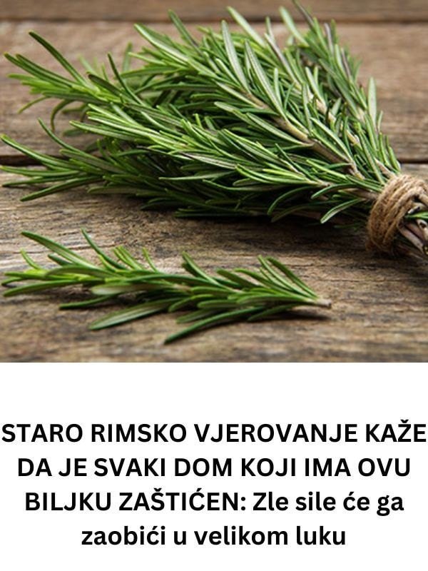 STARO RIMSKO VJEROVANJE KAŽE DA JE SVAKI DOM KOJI IMA OVU BILJKU ZAŠTIĆEN: Zle sile će ga zaobići u velikom luku