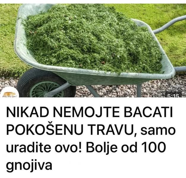 NIKAD NEMOJTE BACATI POKOŠENU TRAVU, samo uraditeovo! Bolje od 100 gnojiva