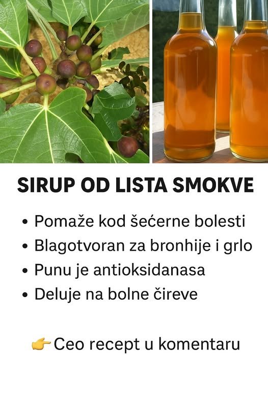 SIRUP OD LISTA SMOKVE: Lako se pravi, a teško je opisati koliko je dobar