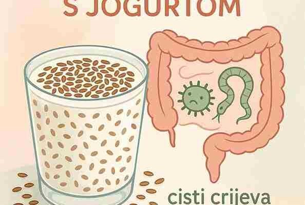 Laneno sjeme sa jogurtom za detoksikaciju tijela i gubitak težine