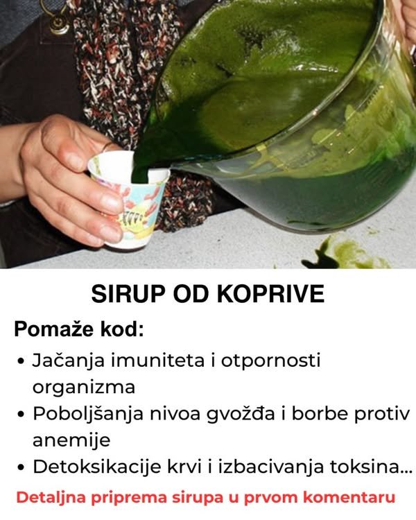 Sirup od koprive – Najbolji lijek za čišćenje krvi i još mnogo toga, evo kako da ga napravite