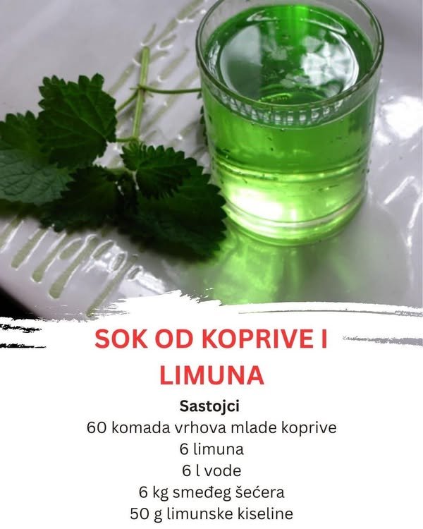 Sok od Koprive – Prirodni energetski napitak bez kuhanja