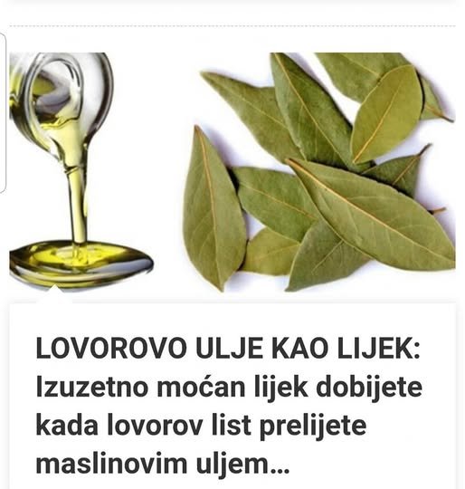 LOVOROVO ULJE KAO LIJEK: Izuzetno moćan lijek dobijete kada lovorov list prelijete maslinovim uljem…