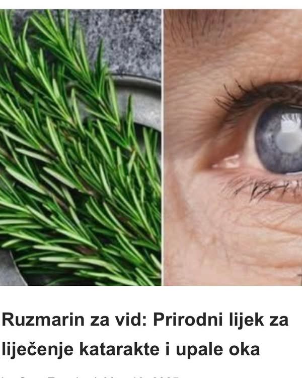 Ruzmarin za vid: Prirodni lijek za liječenje katarakte i upale oka
