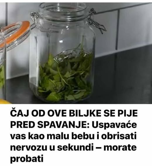 ČAJ OD OVE BILJKE SE PIJE PRED SPAVANJE: Uspavaće vas kao malu bebu i obrisati nervozu u sekundi – morate probati