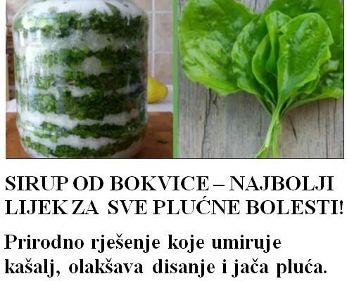 🌿 SIRUP OD BOKVICE – NAJBOLJI LIJEK ZA SVE PLUĆNE BOLESTI! 🌱 Prirodno rješenje koje umiruje kašalj, olakšava disanje i jača pluća