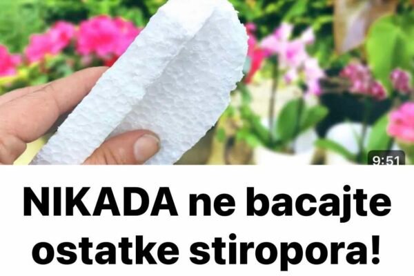 NIKADA ne bacajte ostatke stiropora! Vrijedi zlata!