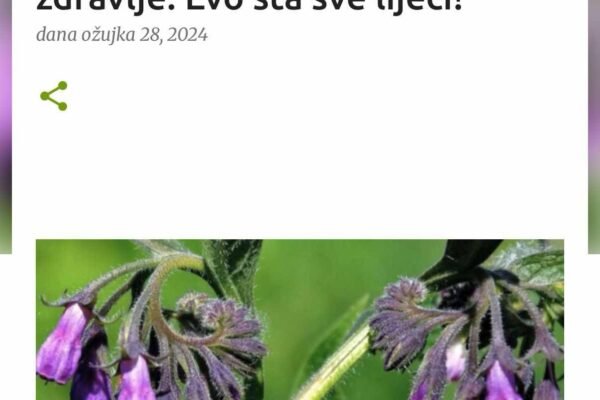 Gavez je ‘čudo’ od biljke za naše zdravlje: Evo šta sve liječi!