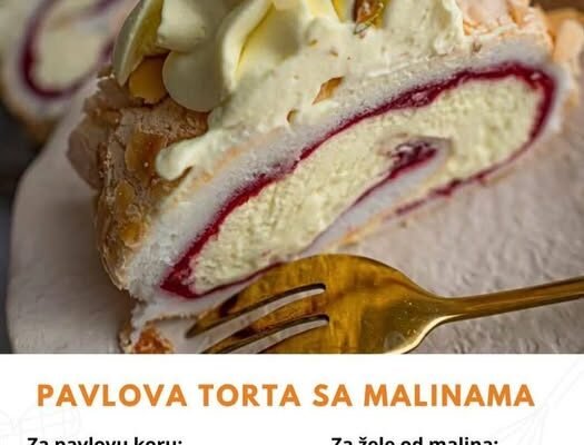 Pavlov rolat sa malinama