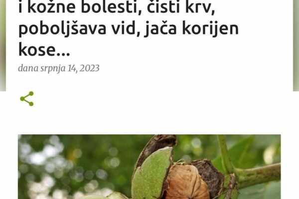 POGLEDAJTE ČAK DEVET NAČINA ZA KORIŠĆENJE MLADOG ORAHA: Liječi plućne i kožne bolesti, čisti krv, poboljšava vid, jača korijen kose...