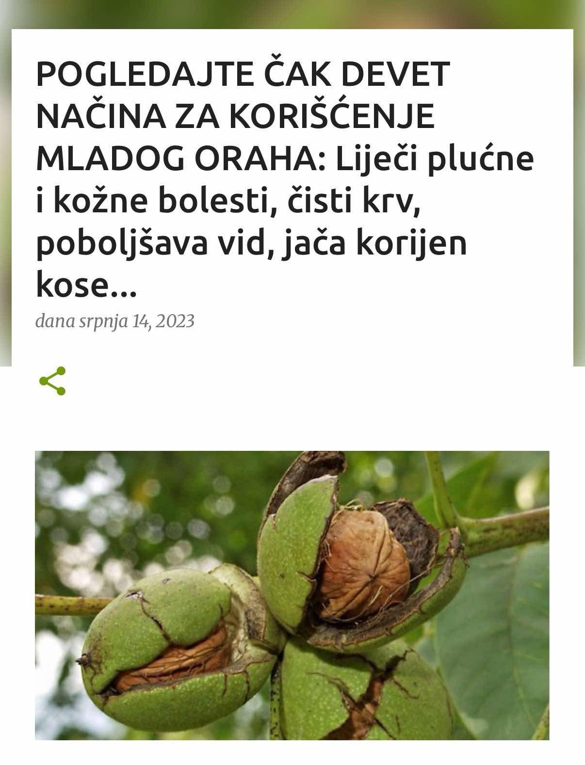 POGLEDAJTE ČAK DEVET NAČINA ZA KORIŠĆENJE MLADOG ORAHA: Liječi plućne i kožne bolesti, čisti krv, poboljšava vid, jača korijen kose...
