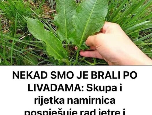 NEKAD SMO JE BRALI PO LIVADAMA: Skupa I Rijetka Namirnica Pospješuje Rad Jetre I Creva