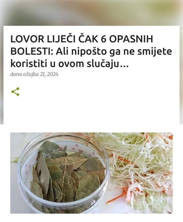 LOVOR LIJEČI ČAK 6 OPASNIH BOLESTI: Ali nipošto ga ne smijete koristiti u ovom slučaju…