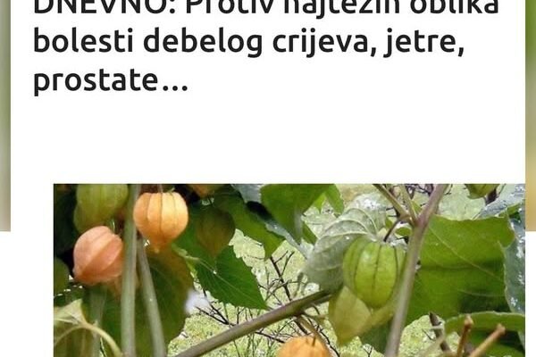 UZIMA SE SAMO JEDNOM DNEVNO: Protiv najtežih oblika bolesti debelog crijeva, jetre, prostate…