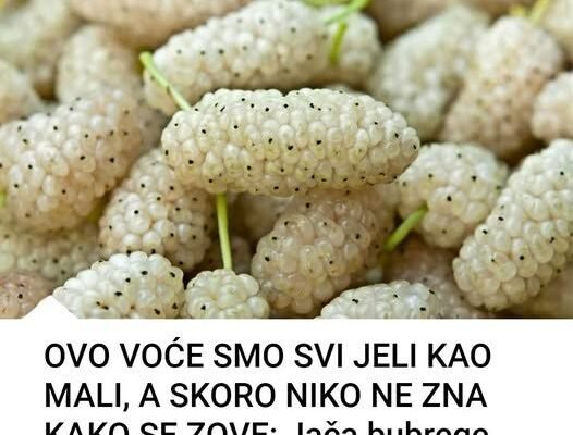 OVO VOĆE SMO SVI JELI KAO MALI, A SKORO NIKO NE ZNA KAKO SE ZOVE: Jača bubrege, čisti jetru, poboljšava krvnu sliku!