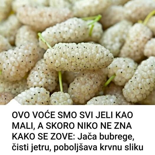 OVO VOĆE SMO SVI JELI KAO MALI, A SKORO NIKO NE ZNA KAKO SE ZOVE: Jača bubrege, čisti jetru, poboljšava krvnu sliku!