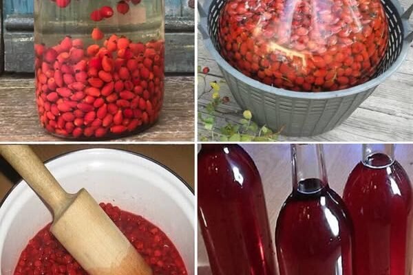 Vino od šipka – drevni „vitaminski eliksir“