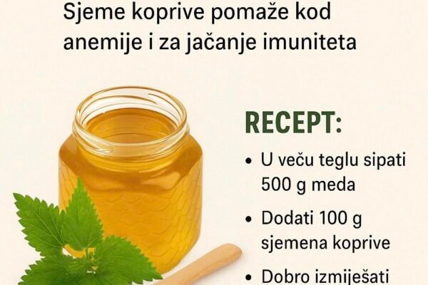 Evo zašto je mlada kopriva kraljica proljeća