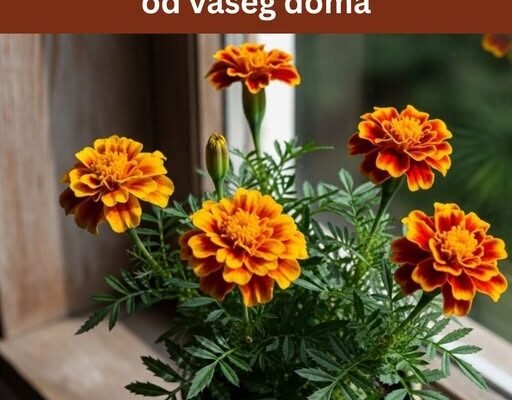 10 biljaka koje drže pauke, mrave, muhe i komarce podalje od vašeg doma