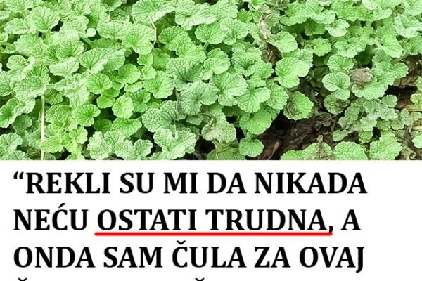 Čaj od ove trave vrlo uspiješno ženama povećava plodnost (recept)