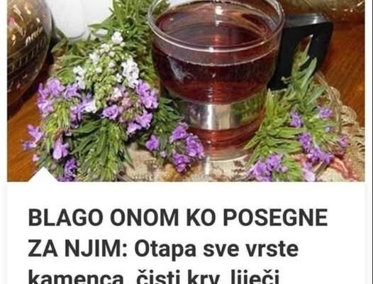 BLAGO ONOM KO POSEGNE ZA NJIM: Otapa sve vrste kamenca, čisti krv, liječi reumu, artritis i giht… BLAGO ONOM KO POSEGNE ZA NJIM: Otapa sve vrste kamenca, čisti krv, liječi reumu, artritis i giht…