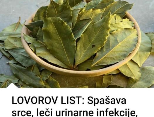 SPAŠAVA SRCE, LIJEČI URINARNE INFEKCIJE, ČISTI PLUĆA, SMIRUJE PSIHU! 💚✨ Prirodni Saveznik Vašeg Zdravlja – Moćan I Višestruko Koristan!