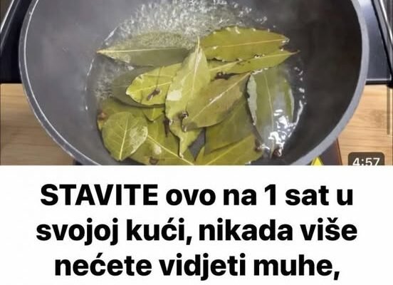 STAVITE ovo na 1 sat u svojoj kući, nikada više nećete vidjeti muhe, komarce ili žohare