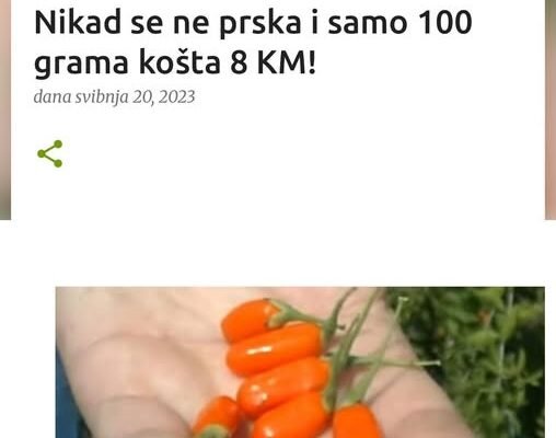 LJUBIŠA SE IZLIJEČIO OD RAKA I OTAD GAJI OVE BOBICE: Nikad se ne prska i samo 100 grama košta 8 KM!