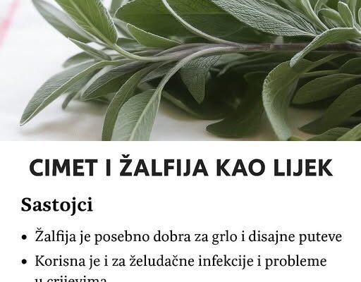 Cimet i zalfija kao lijek!!