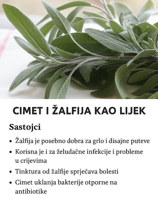 Cimet i zalfija kao lijek!!
