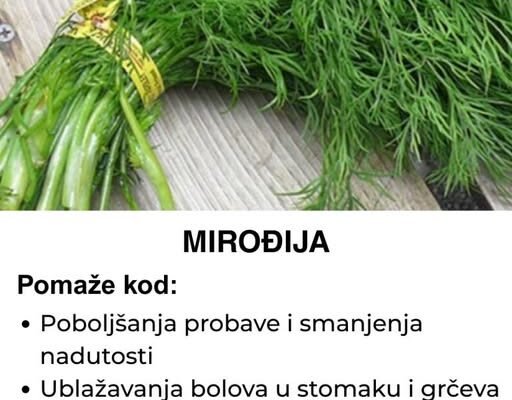 Mirođija – Aromatična biljka koja pomaže kod svega, a evo kako se sprema