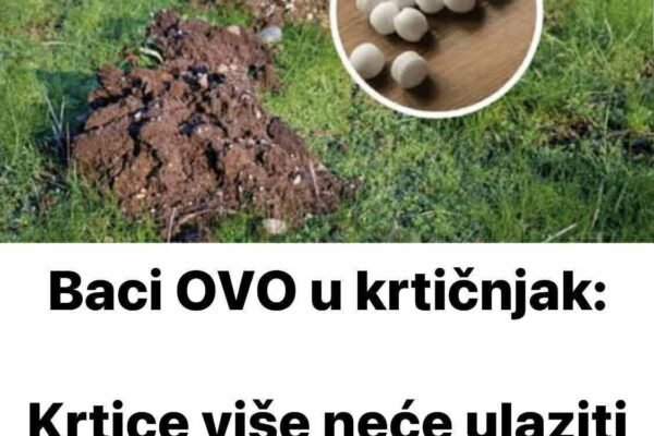 Baci OVO u krtičnjak: Krtice više neće ulaziti u tvoj vrt!