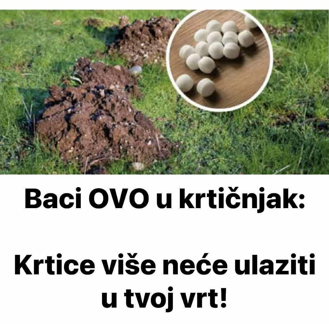 Baci OVO u krtičnjak: Krtice više neće ulaziti u tvoj vrt!
