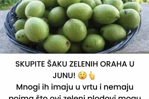 SKUPITE ŠAKU ZELENIH ORAHA U JUNU! 😲👆Mnogi ih imaju u vrtu i nemaju pojma što ovi zeleni plodovi mogu učiniti. Ne čekajte da sazru!