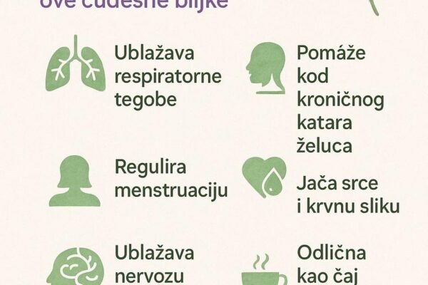 Majčina dušica (Thymus serpyllum)