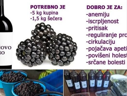 KUPINOVO VINO KAO LEK | RECEPT