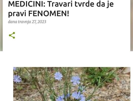 Ova biljka napravila TOTALNI PREOKRET U NARODNOJ MEDICINI: Travari tvrde da je pravi FENOMEN!