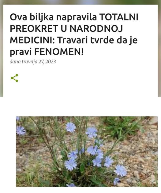 Ova biljka napravila TOTALNI PREOKRET U NARODNOJ MEDICINI: Travari tvrde da je pravi FENOMEN!