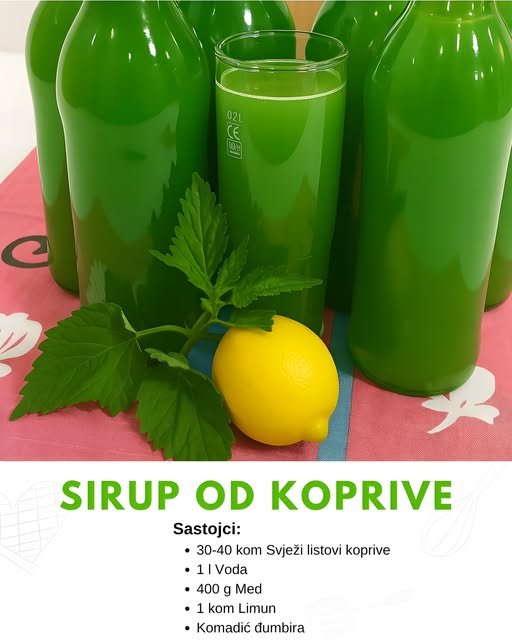 SIRUP od koprive koji ČINI čuda! Provereni RECEPT za prolećnu detoksikaciju i PRIRODNO osveženje – vaš organizam će vam biti ZAHVALAN!