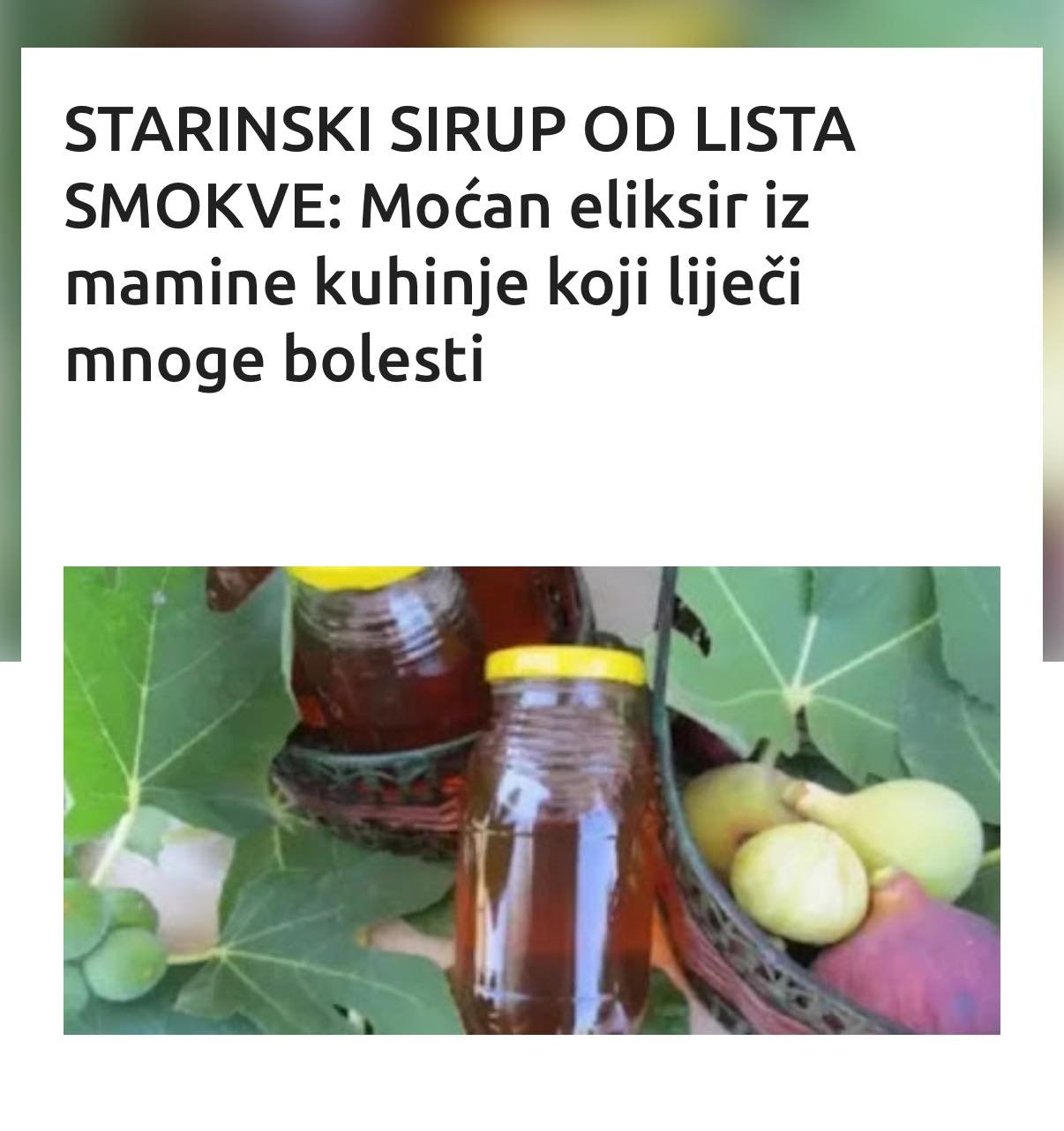 STARINSKI SIRUP OD LISTA SMOKVE: Moćan eliksir iz mamine kuhinje koji liječi mnoge bolesti