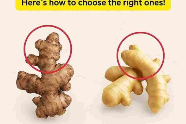 Prestanite pogrešno birati povrće! 🥕