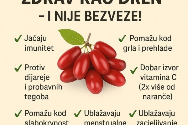 Stara narodna izreka “Zdrav kao DREN” nije bezveze!