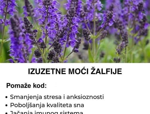 IZUZETNE M0ĆI ŽALFIJE