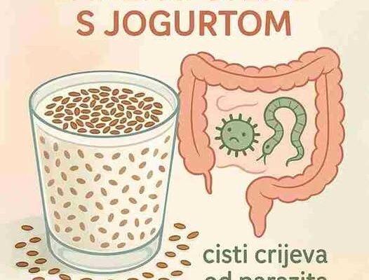 LANEN0 sjeme sa J0GURT0M za DET0KSIKACIJU tijela i gubitak TEŽINE