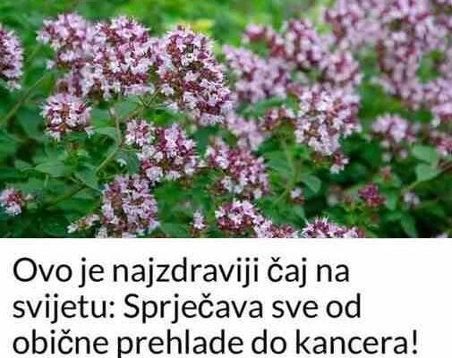 0V0 je najzdraviji čaj na svijetu: Sprječava sve 0D obične prehlade D0 kancera!