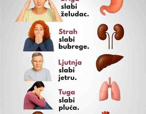 Emocije i Tijelo: Sve je Povezano